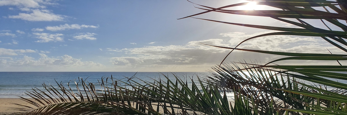 Fuerteventura eine Insel weiter im Aufbau