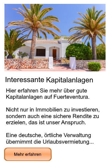 Informationen zu guten Kapitalanlagen bei Freiesleben Immobilien Informationen zu guten Kapitalanlagen bei Freiesleben Immobilien