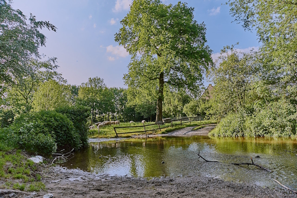 Historische Berkel-Furt Billerbeck